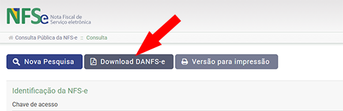 Download DANFSe em PDF no portal da NFS-e Nacional