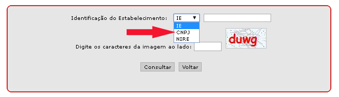 Consulta Sintegra SP